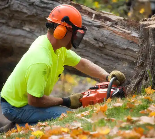 tree services Purcell